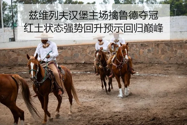 兹维列夫汉堡主场擒鲁德夺冠 红土状态强势回升预示回归巅峰